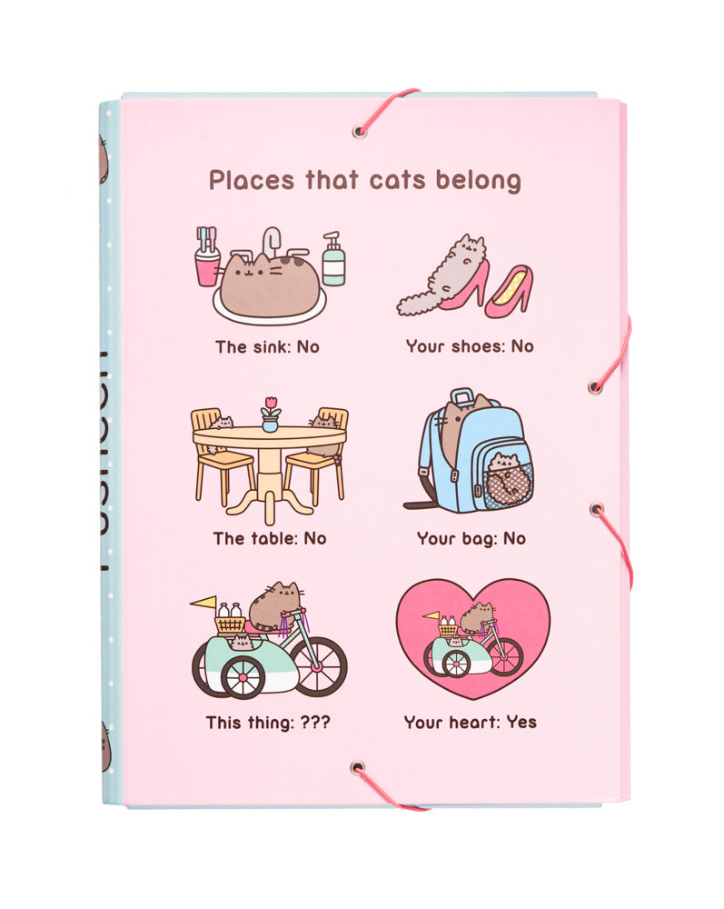 Pusheen elastomap - Places that cats belong