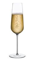 Nude Glass Stem Zero Champagnerglas 300ml