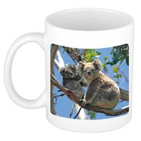 Dieren Koala Beer Foto Mok 300 Ml - Cadeau Beker / Mok Koalaberen Liefhebber