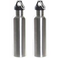 Items Set van 2x stuks RVS thermosfles/isoleerfles zilvergrijs met schroefdop en karabijnhaak 750 ml -