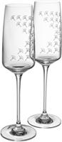 Joop! Champagnerglas » FADED CORNFLOWER«, Kristallglas, mit Kornblumen-Verlauf als Dekor, 2-teilig