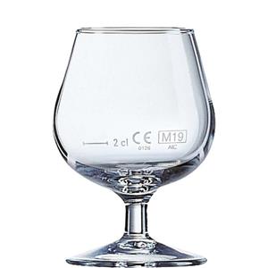 Arcoroc Schnapsglas Degustation, Glas, Cognacschwenker Cognacglas 150ml 2cl Glas Transparent 12 Stück