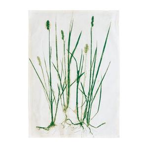 Södahl Pasta-Formscheiben , Botanicals Geschirrtuch Grass 50 x 70 cm