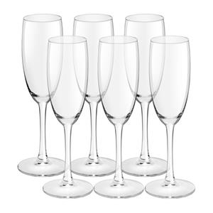 Xenos Champagneglas - set van 6 - 180 ml
