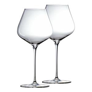 Stölzle Rotweinglas Q1 Burgunderkelche 650 ml 2er Set, Glas