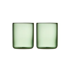 LYNGBY  Torino - Shotglas S/2 0,05l Groen