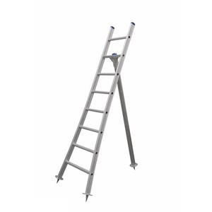 Eurostairs Plukladder – Semi-professionele Snoeiladder En Boomladder – 8 Treden