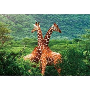 Merkloos Set van 6x stuks placemat giraffe 3D 28 x cm -