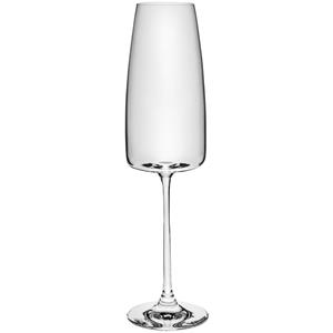 Vega Champagneglas Lotta zonder maatstreepje; 340ml, 4.8x25 cm (ØxH); transparant; 6 stuk / verpakking