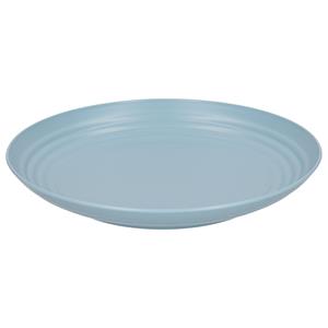 PlasticForte Rond bord/camping bord - D25 cm - ijsblauw - kunststof - onbreekbaar -