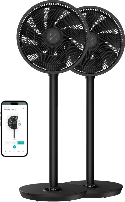 Duux Whisper Flex 2 Duo Pack Zwart