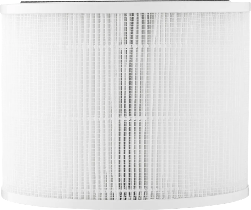 Duux HEPA+Carbon filter DXPUF06