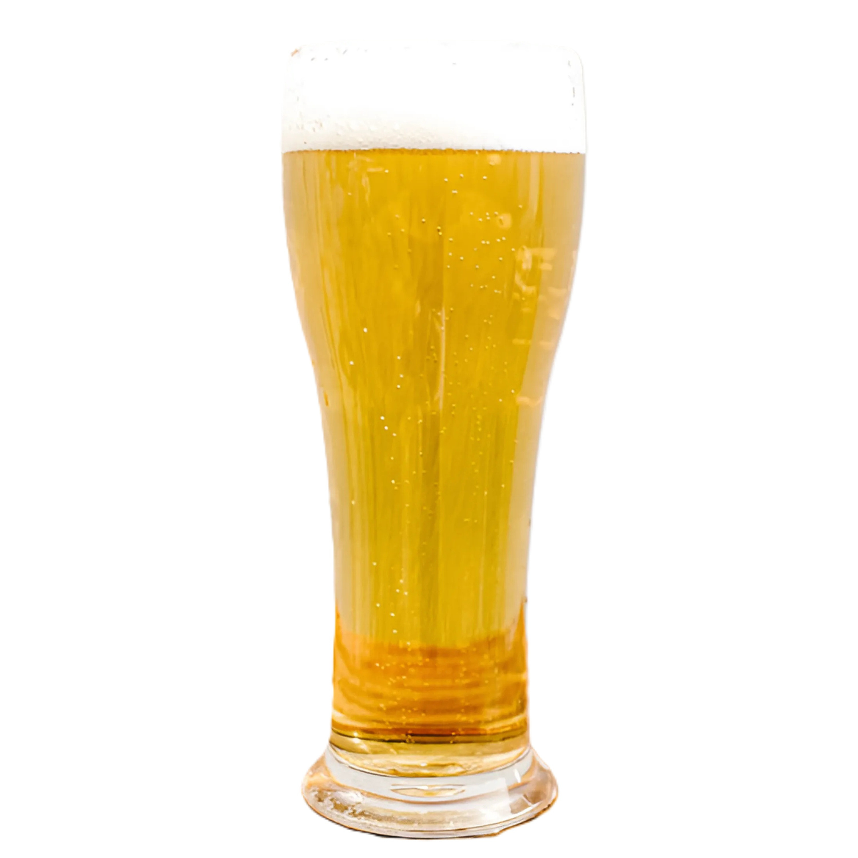 MPDrink Bierglas - SAN kunststof - 25 cl - onbreekbaar - herbruikbaar -