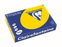 Clairefontaine Trophée Pastel A4, 160 g, 250 vel, goudgeel