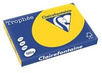 Clairefontaine Trophée Pastel A3, 120 g, 250 vel, goudgeel