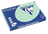 Clairefontaine Trophée Pastel A3, 120 g, 250 vel, groen
