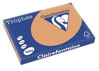 Clairefontaine Trophée Pastel A3, 120 g, 250 vel, mokkabruin