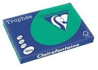 Clairefontaine Trophée Intens A3, 120 g, 250 vel, dennengroen