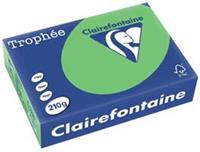 Clairefontaine Trophée Intens A4, 210 g, 250 vel, grasgroen
