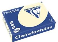 Clairalfa Universal-Papier, DIN A4, 210 g/qm, elfenbein
