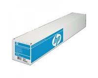HP Professional Instant-dry - Fotopapier (seidig) - Rolle A1 - 300 g/m² - 1 Rolle