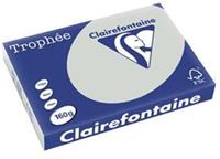 Clairefontaine Trophée Pastel A3, 160 g, 250 vel, lichtgrijs