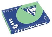 Clairalfa Multifunktionspapier Trophée A3, naturgrün