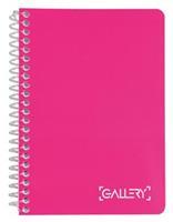 Gallery notitieboek Passion For Colour, ft A6, geruit 5 mm, 160 bladzijden, geassorteerde kleuren