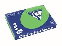 Clairefontaine Trophée Intens A3, 160 g, 250 vel, grasgroen