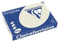 Clairefontaine Trophée Pastel A4, 120 g, 250 vel, parelgrijs