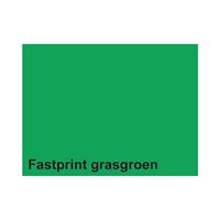 Fastprint Kopieerpapier  A4 160gr grasgroen 50vel