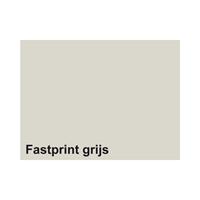 Fastprint Kopieerpapier  A4 120gr grijs 100vel
