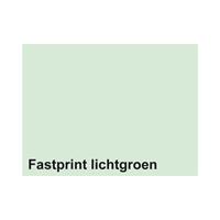 Fastprint Kopieerpapier  A4 120gr lichtgroen 250vel