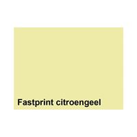 Fastprint Kopieerpapier  A4 80gr citroengeel 500vel