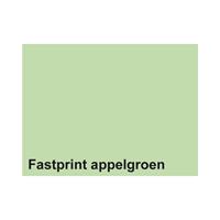 Fastprint Kopieerpapier  A4 80gr appelgroen 500vel