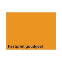 Fastprint Kopieerpapier  A4 120gr goudgeel 250vel