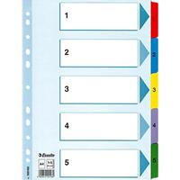 Esselte Kartonregister 100164 1-31 A4 160g farbige Taben 31-teilig