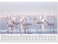 sigel #onderleggers  Flamingo met 3 jarig kalendarium 30 vel        2019/20/21