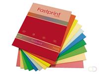 Fastprint Kopieerpapier  A4 160gr 10kleuren x5vel