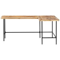 vidaXL Schreibtisch 120 x 60 x 76 cm Massivholz Mango Braun