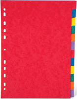 Pergamy tabbladen ft A4, 11-gaatsperforatie, stevig karton, geassorteerde kleuren, 12 tabs