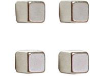 Franken Neodymium magneet (b x h x d) 10 x 10 x 10 mm dobbelsteen Zilver 4 stuk(s) HMN1010