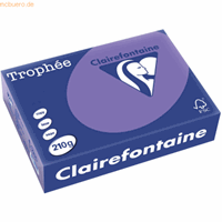 clairefontaine 4 x  Kopierpapier Trophee A4 210g/qm VE=250 Blatt lila