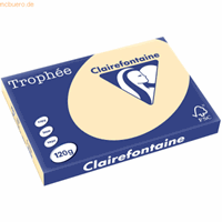 clairefontaine 5 x  Kopierpapier Trophee A3 120g/qm VE=250 Blatt chamoi