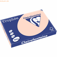 clairefontaine 5 x  Kopierpapier Trophee A3 120g/qm VE=250 Blatt lachs