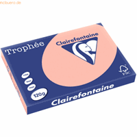 clairefontaine 5 x  Kopierpapier Trophee A3 120g/qm VE=250 Blatt pfirsi