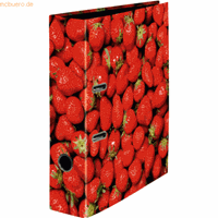 k.a. 10 x  Motivordner A4 285x318mm 80mm Erdbeeren
