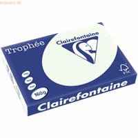 clairefontaine 4 x  Kopierpapier Trophee A3 160g/qm VE=250 Blatt blaßgr