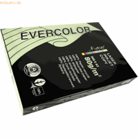 clairefontaine 5 x  Kopierpapier Forever Evercolor DIN A3 hellgrün 80 g