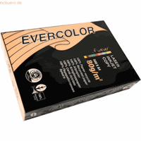 Clairefontaine Evercolor gekleurd gerecycleerd papier, A4, 80 g, 500 vel, zalm